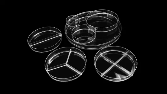 Einweg-Zellkultur-Petrischale aus sterilem, rundem, durchsichtigem PS-Kunststoff, 90 x 15 mm