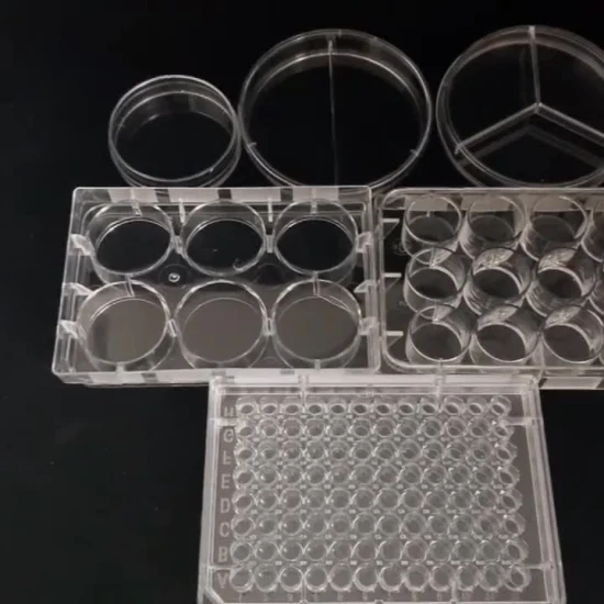Einweg-Petrischalen aus Kunststoff, 90 x 15 mm, Zellkulturbehälter, 9 cm Petrischale
