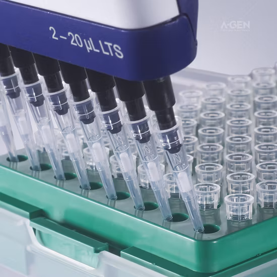 Herstellung von Labor-Roboter-Natur-Mechanik-Elektronik-Pipettenfilterspitzen mit Aerosolbarriere im Großhandel für das Eppendorf-Labor